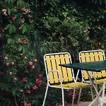 Guest house Am Obertrum am See